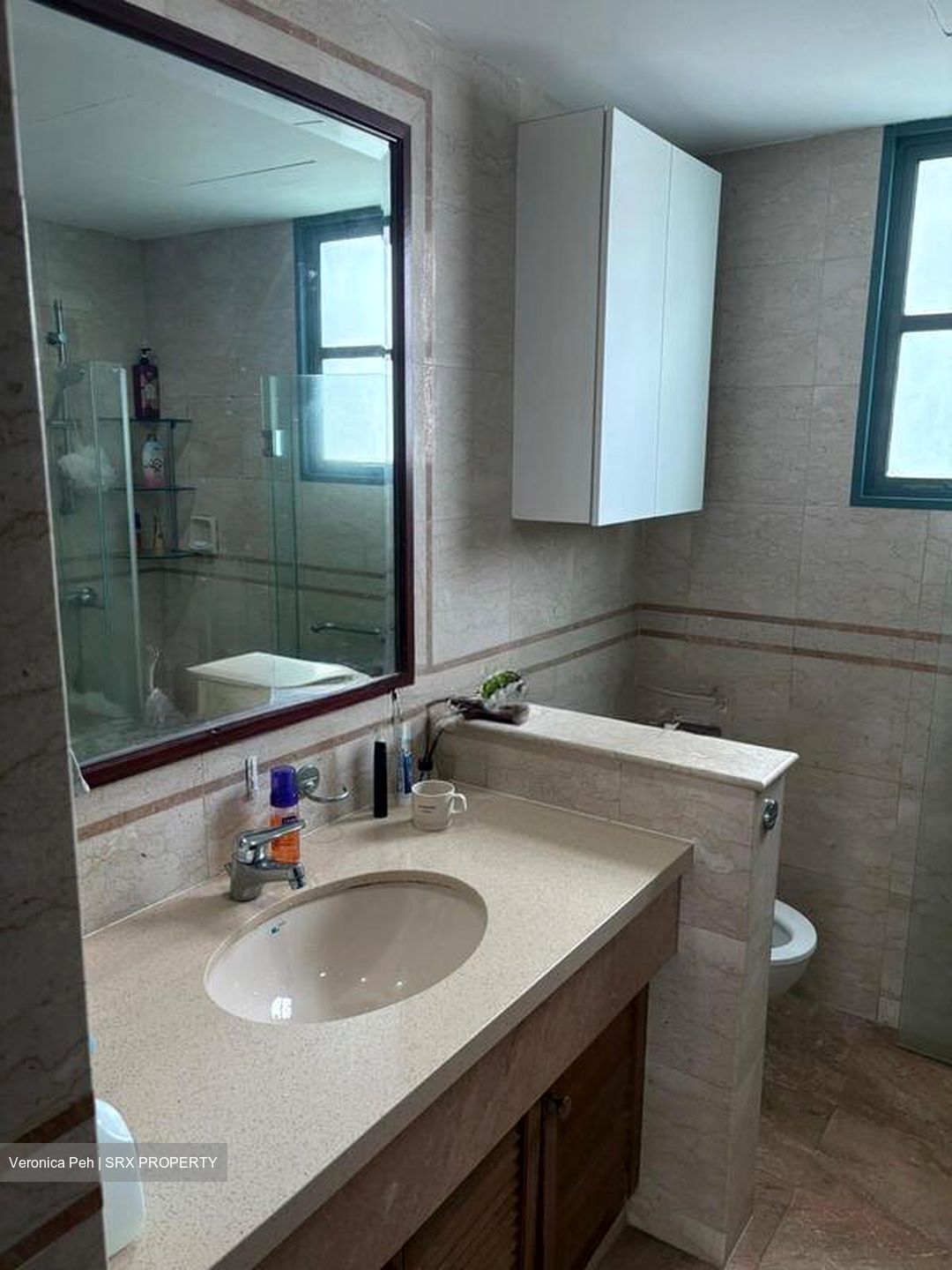 The Hillside (D21), Condominium #503191441